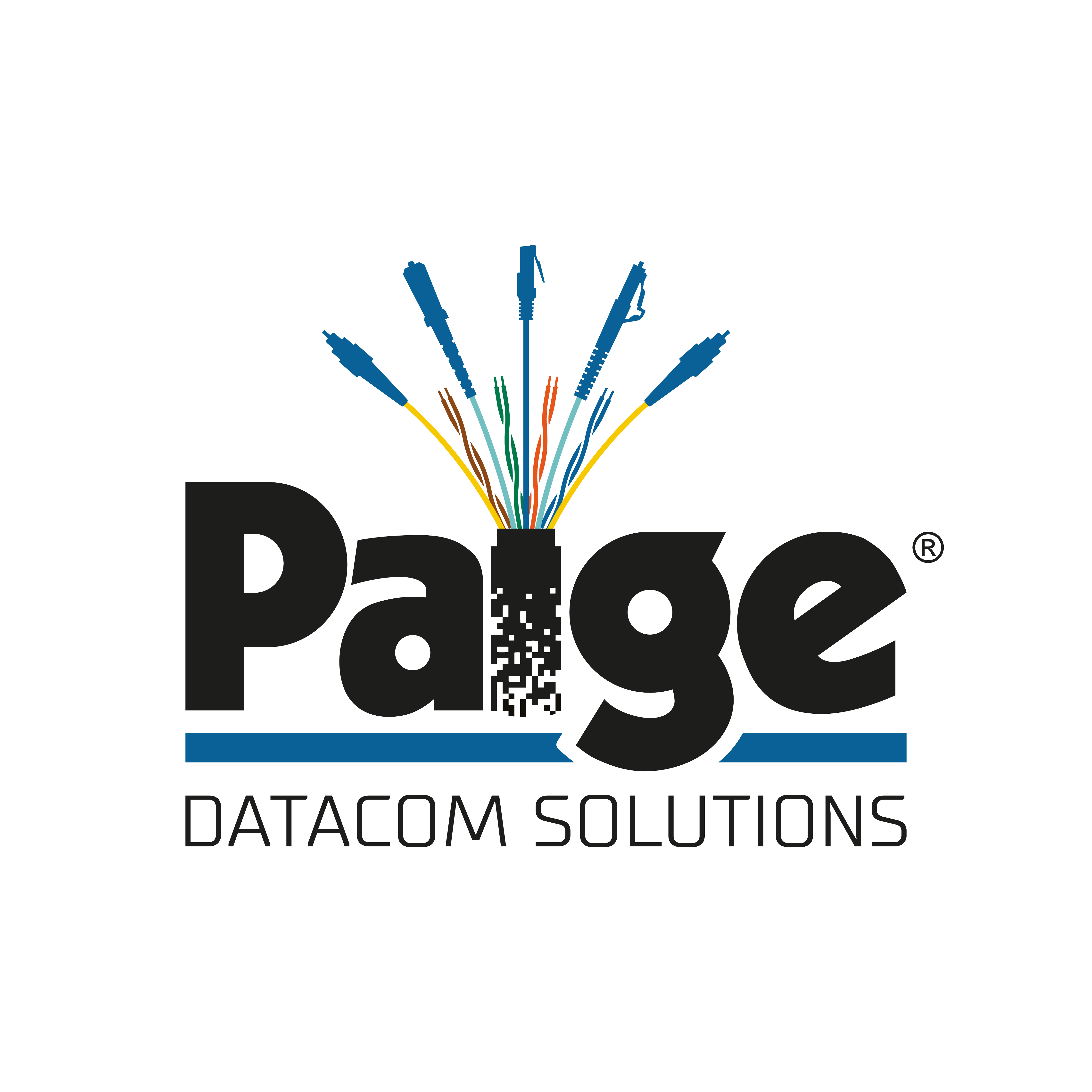 PAIGE DATACOM